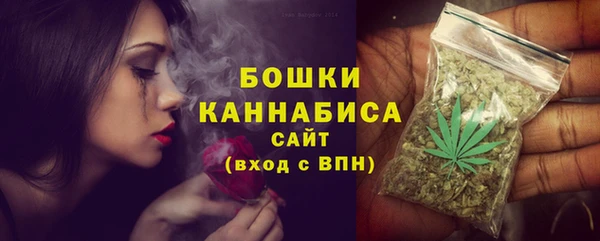 спиды Богданович