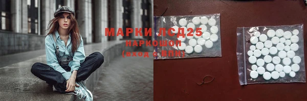 спиды Богданович