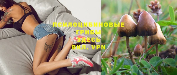 МДПВ Богородицк
