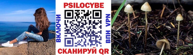 продажа наркотиков  Шагонар  Галлюциногенные грибы Magic Shrooms 